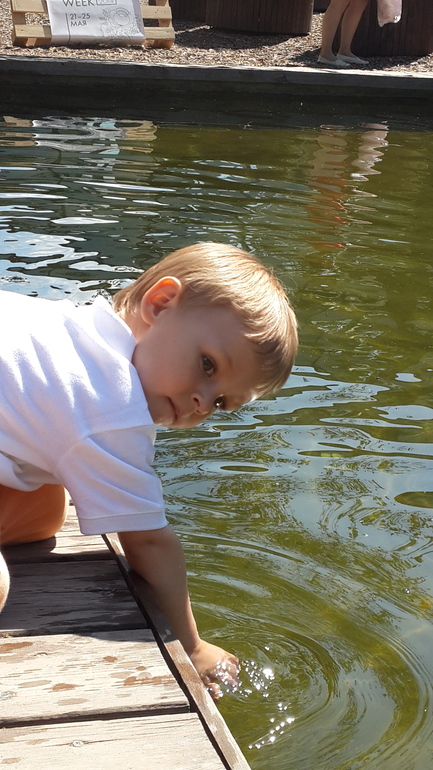 Прогулка в Аптекарский огород