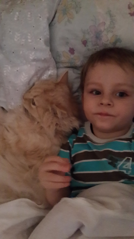 мои мальчики )))