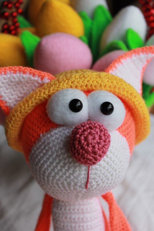 солнечный кот Лето и не только