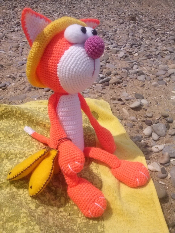 солнечный кот Лето и не только