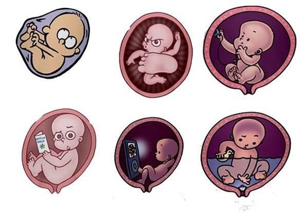 Ну вот и я в декрете!