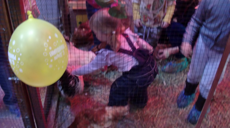 Контактный зоопарк на Тушинской (2г 5 мес)