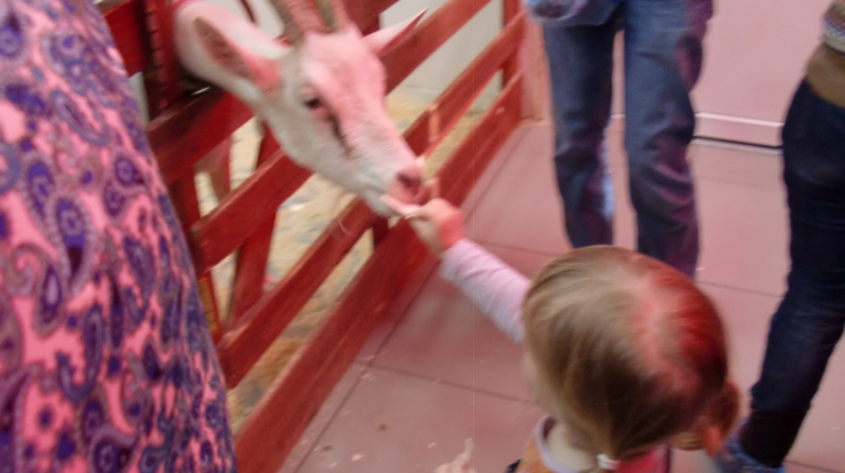 Контактный зоопарк на Тушинской (2г 5 мес)