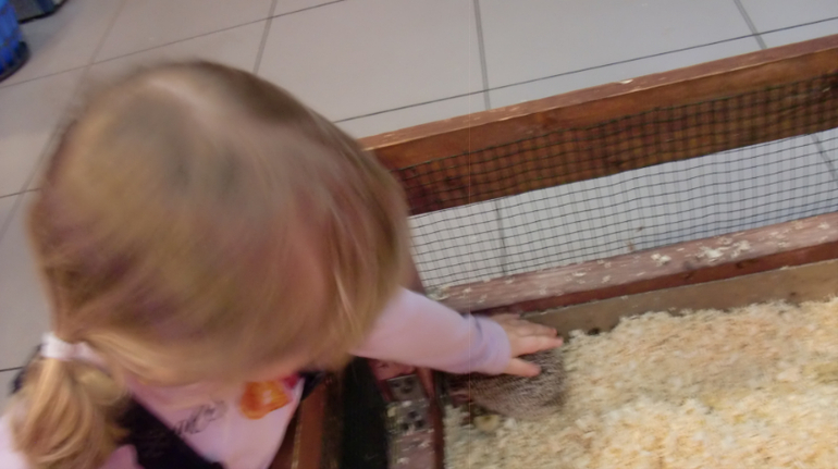 Контактный зоопарк на Тушинской (2г 5 мес)