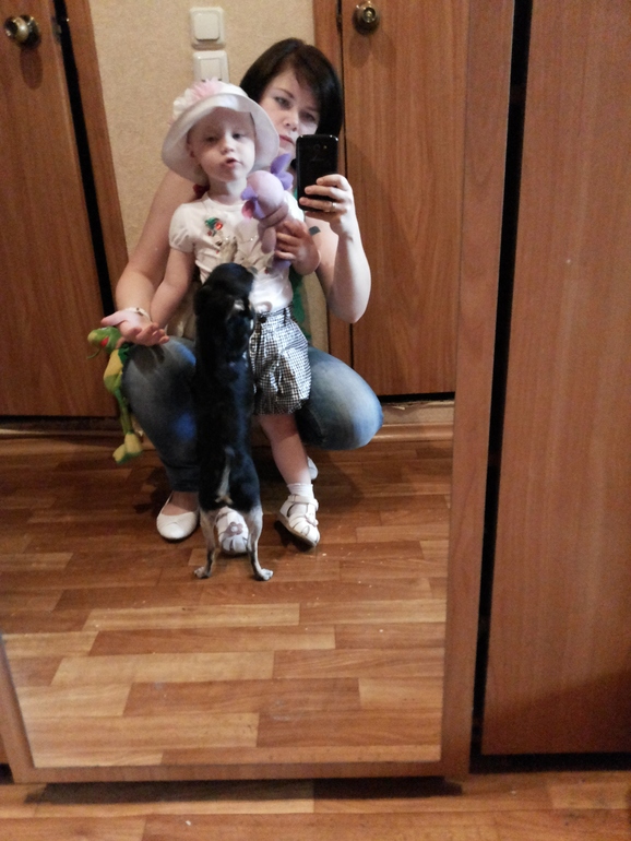 Решила сесть на диету )