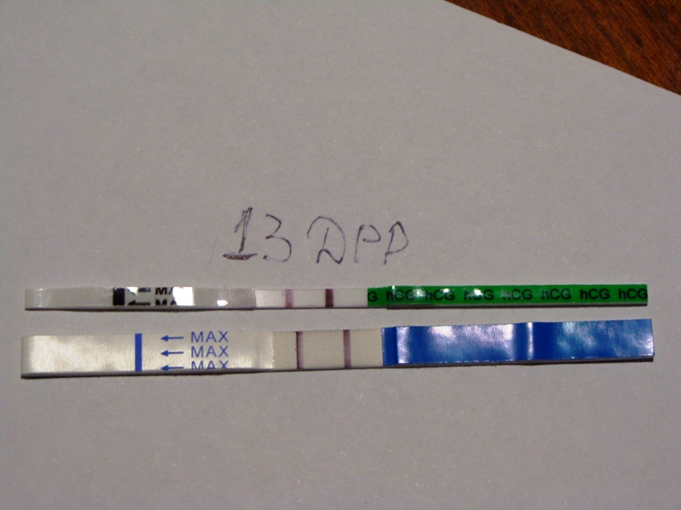 Приехала с хгч!!!!!!!!!!!!!!!!!!!!!!!!