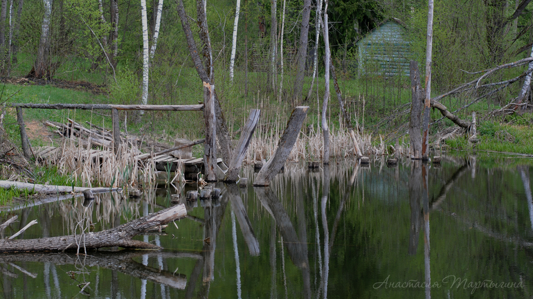 Первый шаг – самое простое и одновременно трудное…
