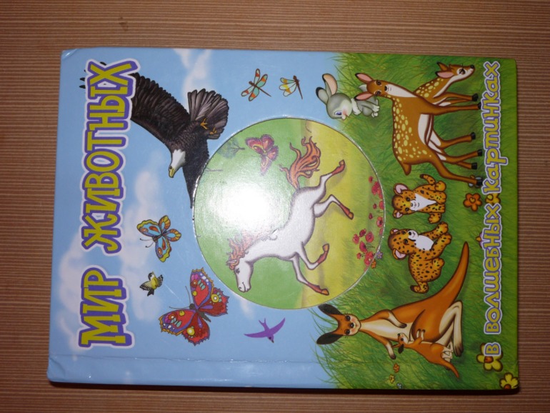 Такая книжка