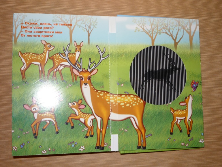 Такая книжка