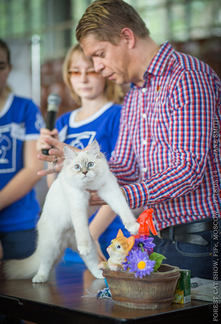 Мой мужчинка.