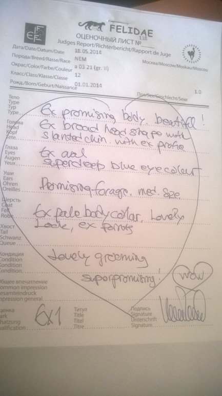 Мой мужчинка.