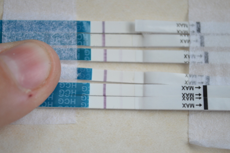 Неужели снова БхБ???? 12-13ДПО