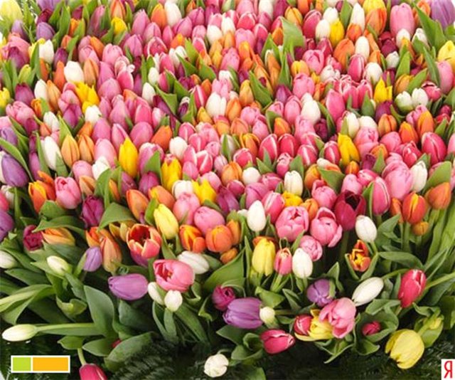 С Праздником нас!