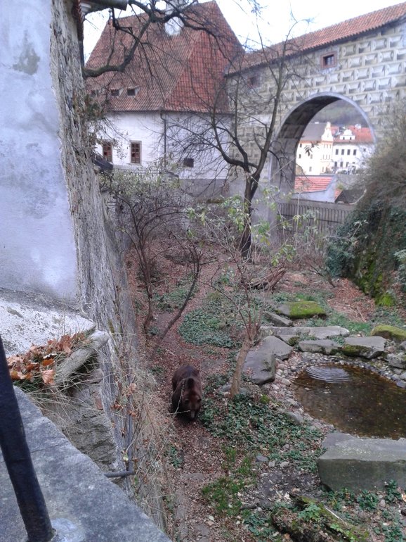 Наши каникула в Праге