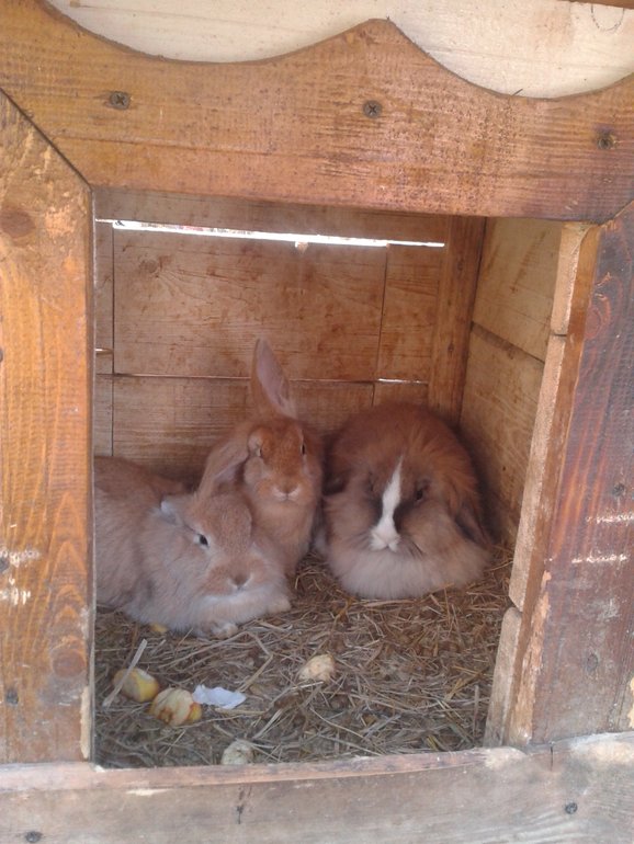 Наши выходные. Немного фото