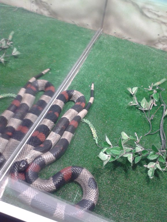 Наши выходные. Немного фото