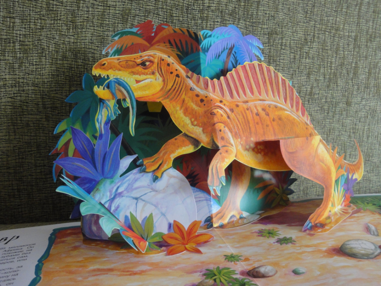 Книжное пополнение. Февраль