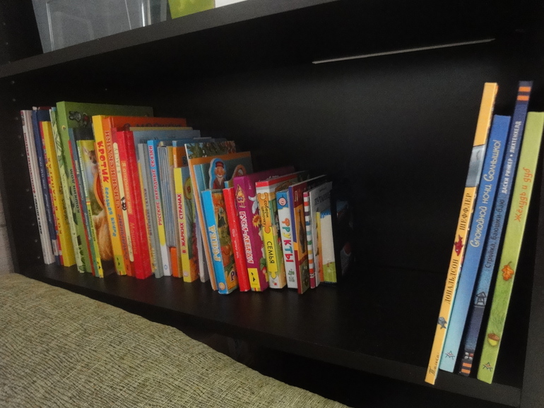 Наша скромная библиотека (1 год и 11 мес)