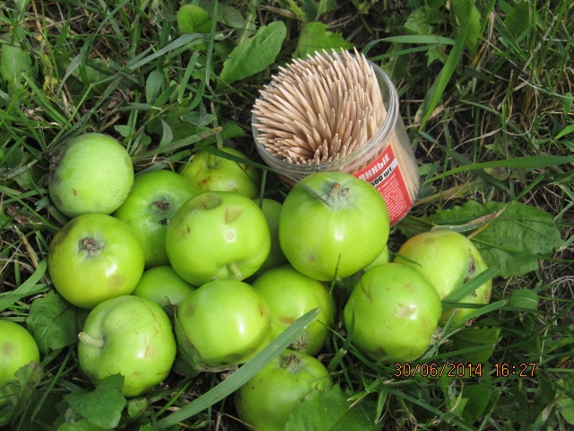 ФМ "Веселое лето" - День №4 " конструирование"