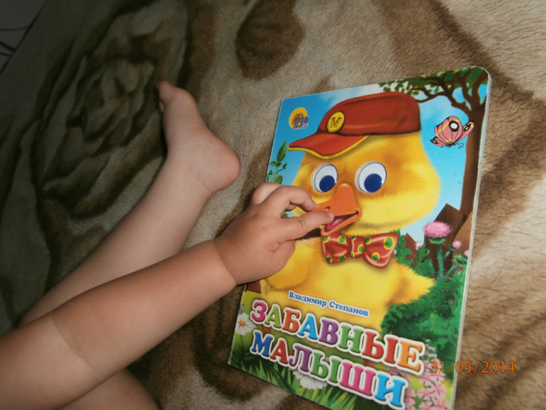 ТЗ Утка и Гусь