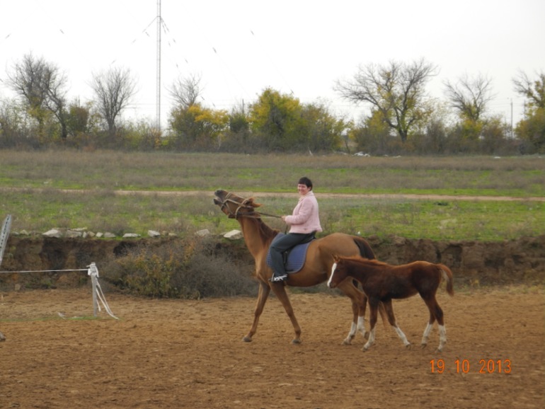 Почти 11 с половиной месяцев