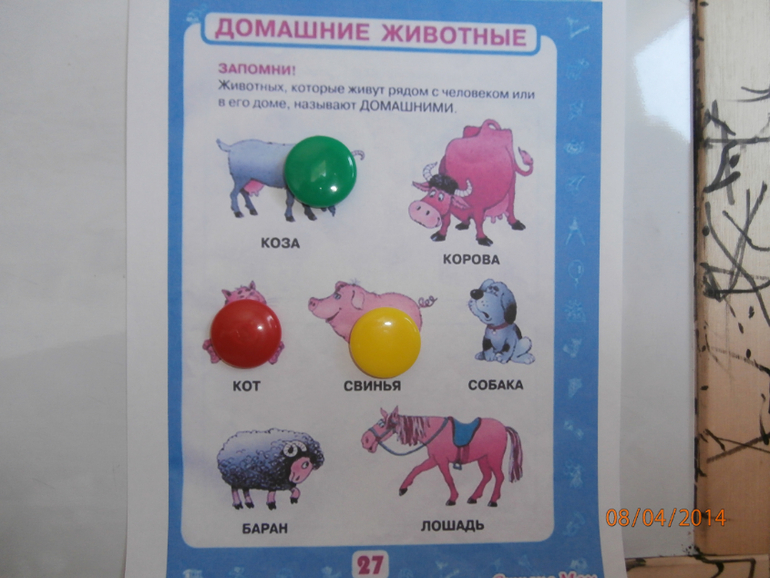ТН