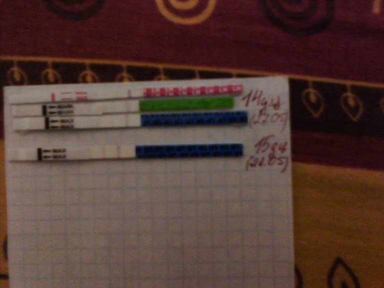 Опять Пролёт(((