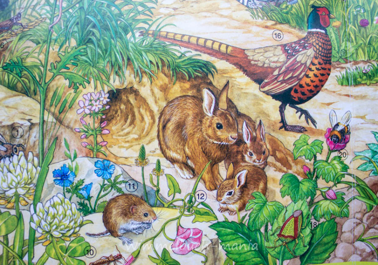 Wimmelbuch mania. Anne Suess. Ч.1