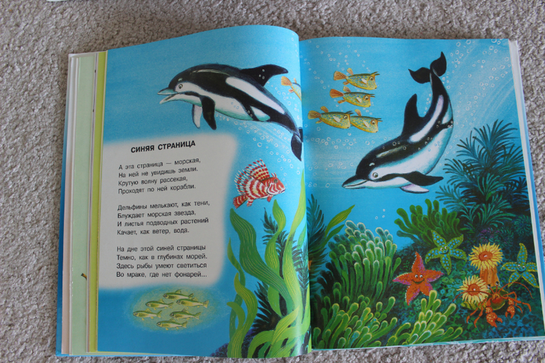 Наша поэзия-1