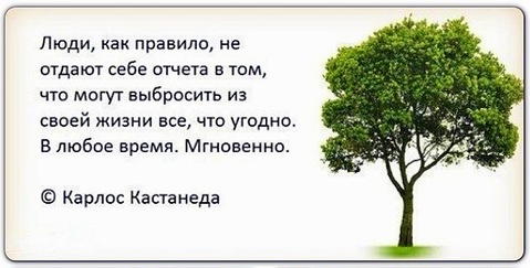 Классный перепост....