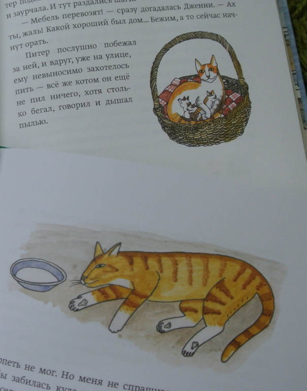 Странная белая кошка томасина. Томасина книга. Томасина иллюстрации. Пол Гэллико Томасина иллюстрации. Томасина пол Гэллико книга