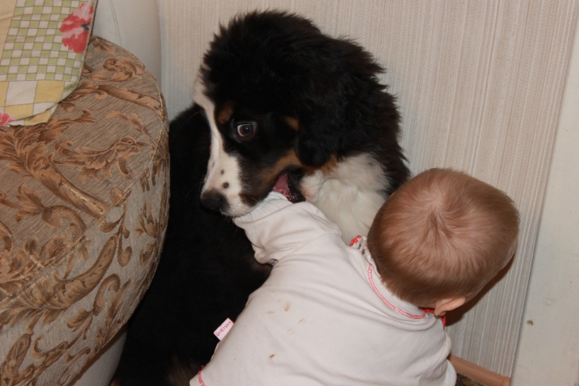 Ричард и все все все)))