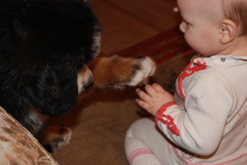 Ричард и все все все)))