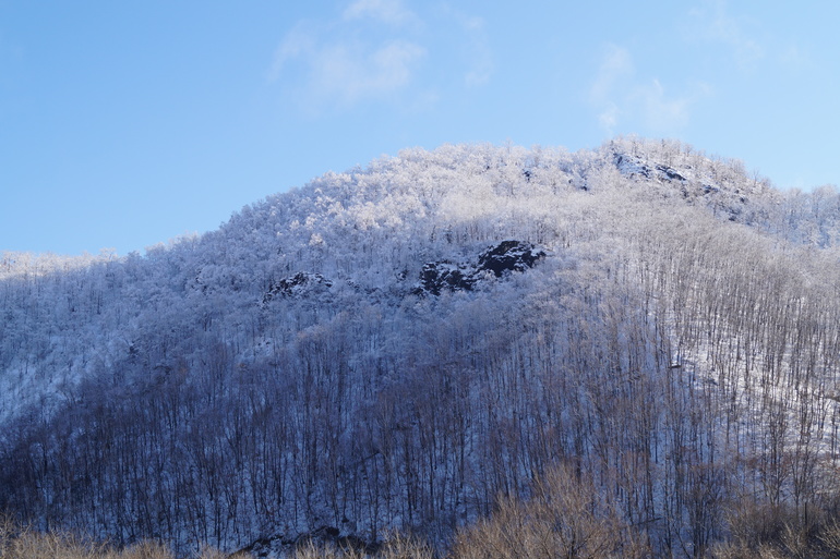 а из нашего окна