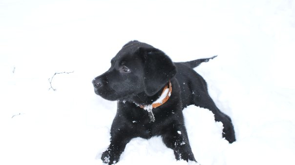 решила вспомнить))