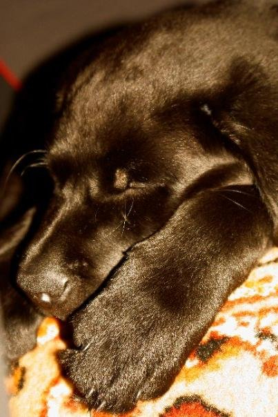 решила вспомнить))