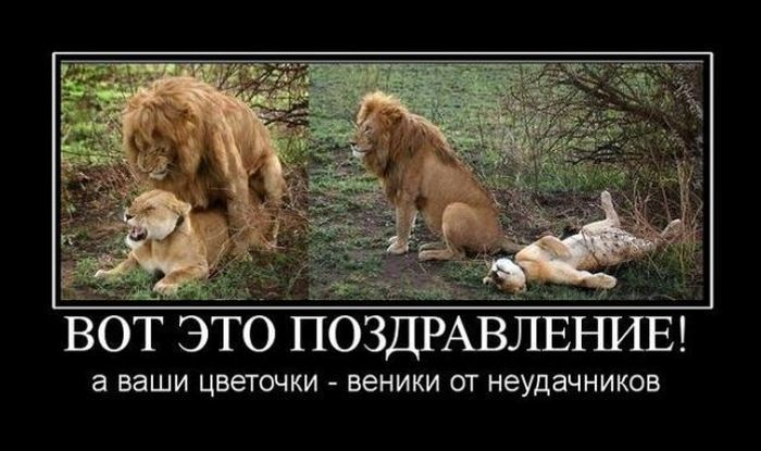 и чтоб мужчины нас приятно удивляли сегодня!ПОЗДРАВЛЯЮ!!!!!