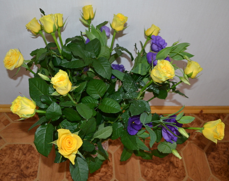 вот так сегодня начался мой день...