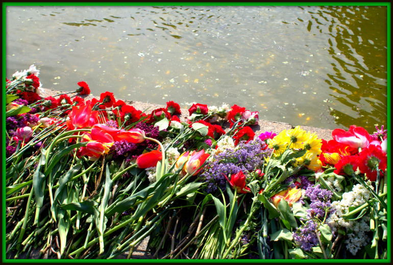 День Победы в моем Волгограде!!! С праздником ВСЕХ!!!!