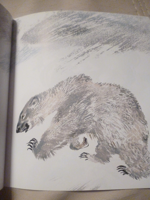 Чарушинские зверята (подробные фото и отзыв)