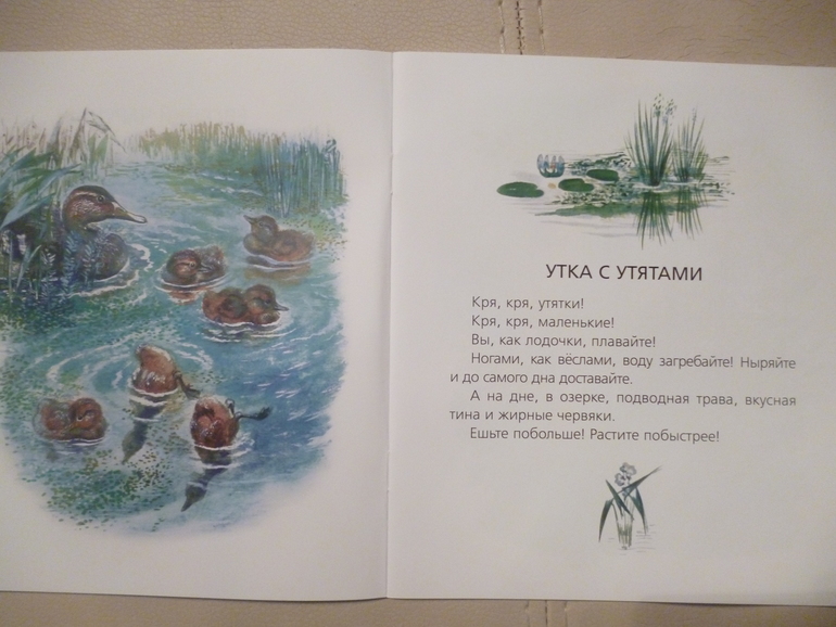 Чарушинские зверята (подробные фото и отзыв)