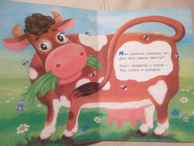 Картонные книжки для малышей