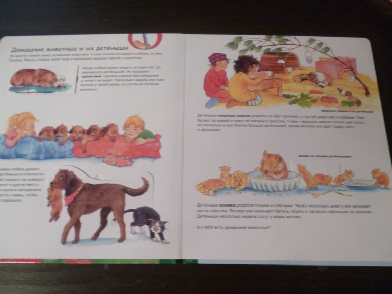 Энциклопедии про животных