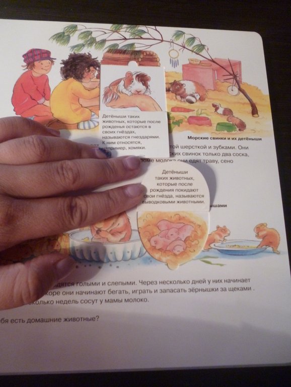 Энциклопедии про животных