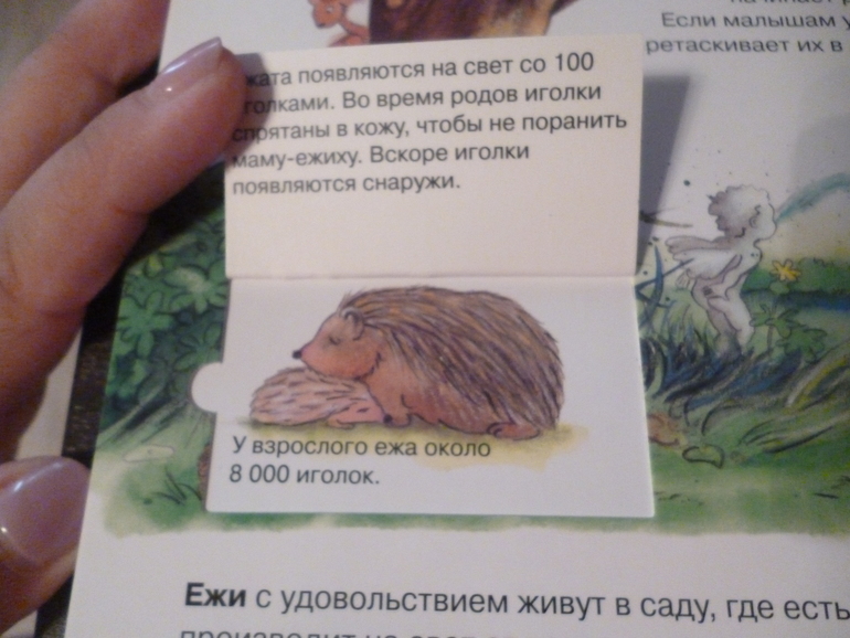 Энциклопедии про животных