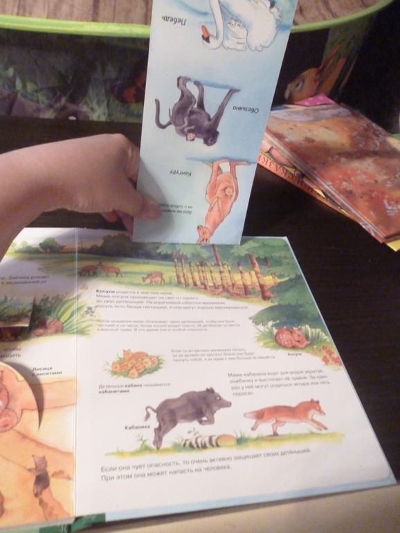 Энциклопедии про животных