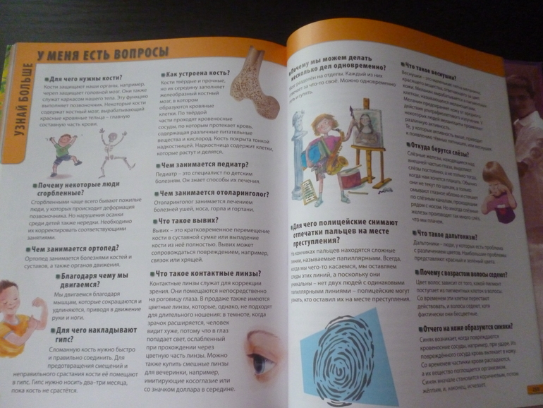 Энциклопедии про животных