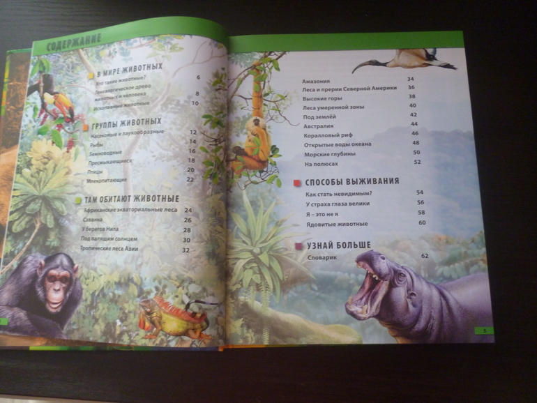Энциклопедии про животных