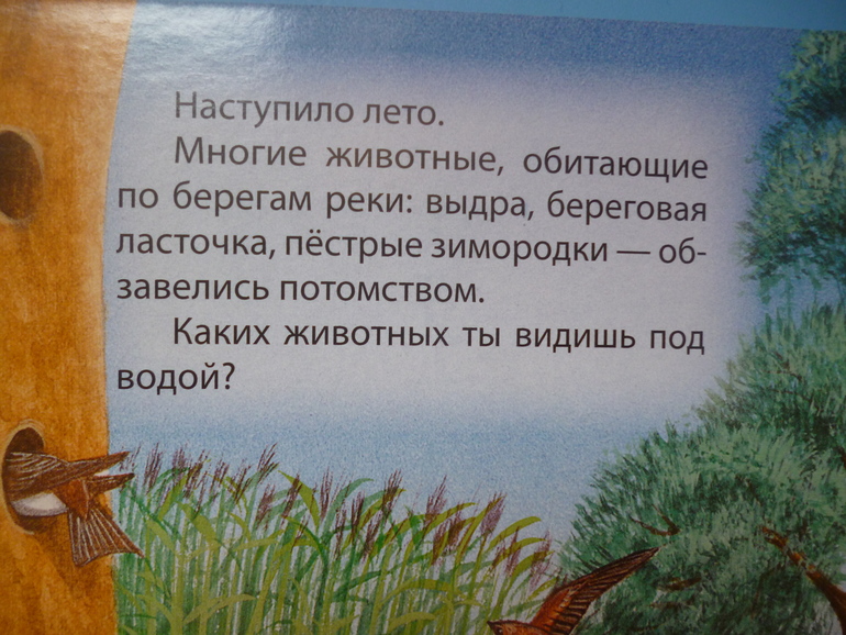 Первые книги малыша. Учим новые слова (бюджетные гляделки, много фото)