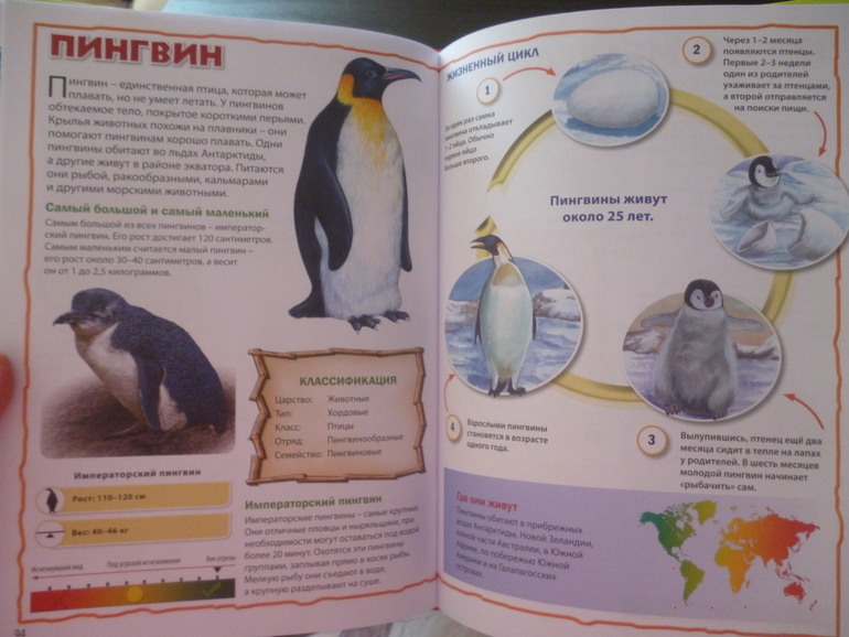 Энциклопедии про животных